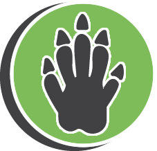 Rabbit Extermination