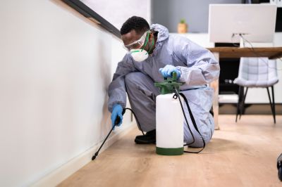 Experienced Pest Control Experts